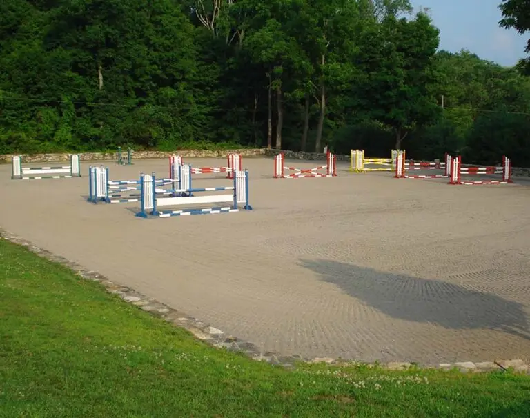 Arena II