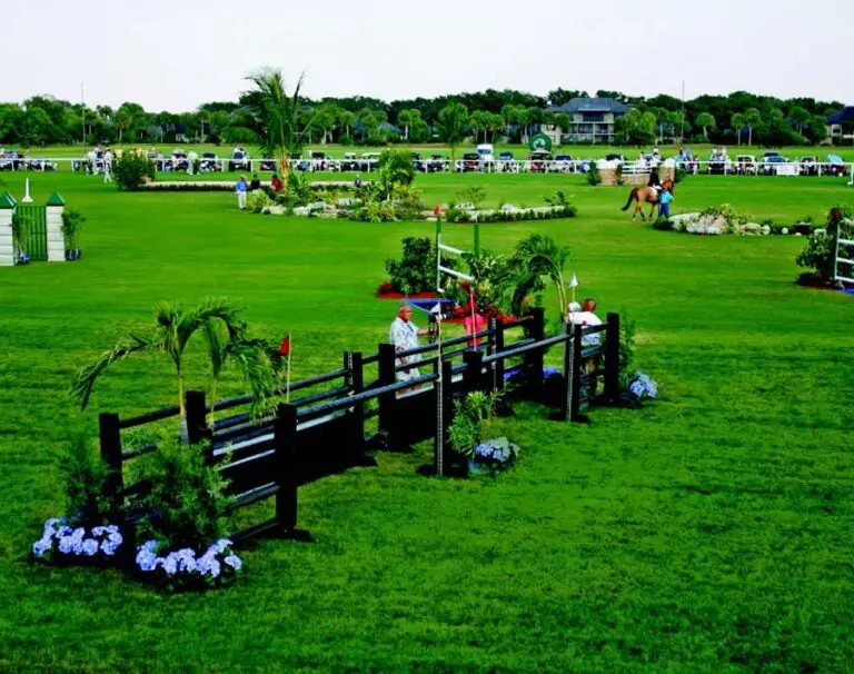 Derby Field