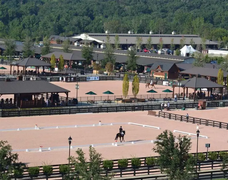 Tryon - Arenas copy